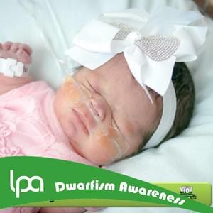 Meet your Posher, Duane